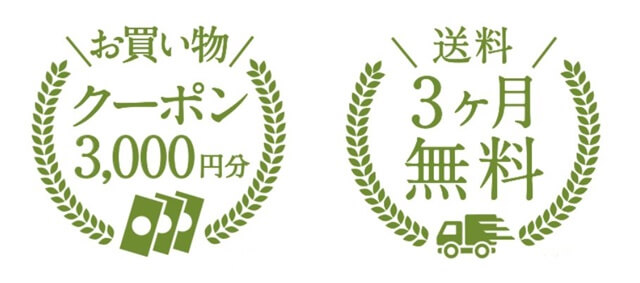 オイシックス定期特典