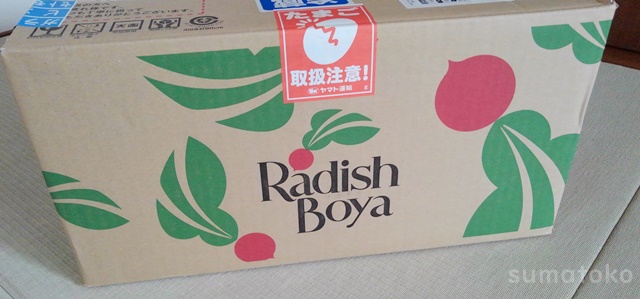 らでぃっしゅぼーやお試し
