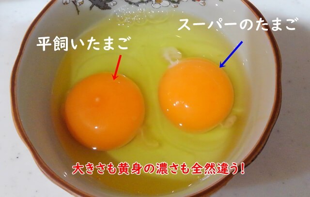 らでぃっしゅぼーやのたまご