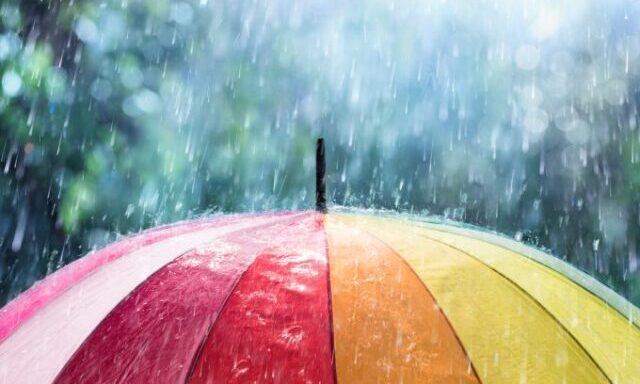 雨傘