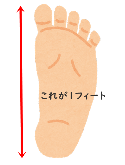 足フィート由来