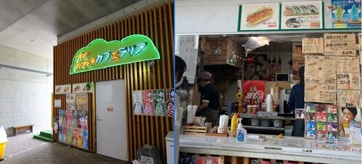 森のカフェテリア