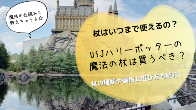 Usjハリーポッターの杖はいつまで使える 買うべきか使い回しできるかどっち 必須のマジカルワンドの値段や選び方 使い方も紹介 すまとこライフ