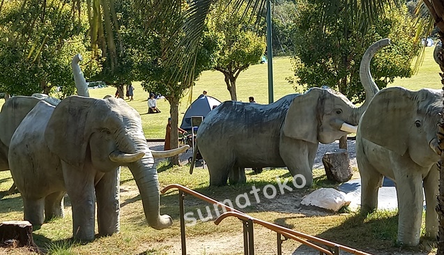 子供広場動物