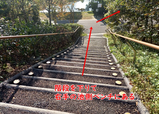 ジブリパーク コクリコ坂忘れ物オブジェ