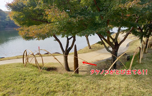 タケノコ オブジェ ジブリパーク