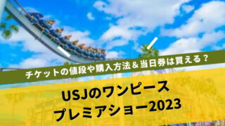 ワンピースプレミアムショー2023チケット　当日券