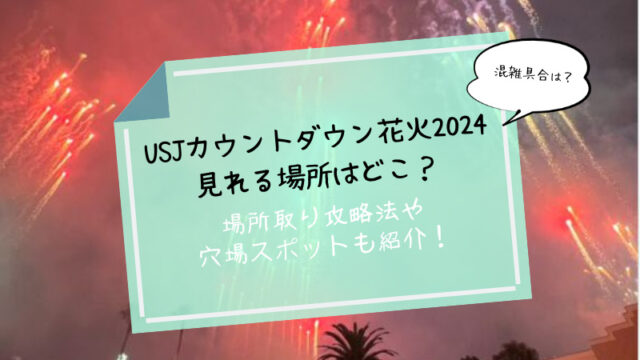 USJのカウントダウン花火場所取り