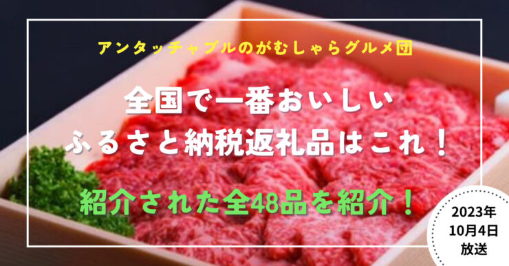 がむしゃらグルメ団　ふるさと納税返礼品