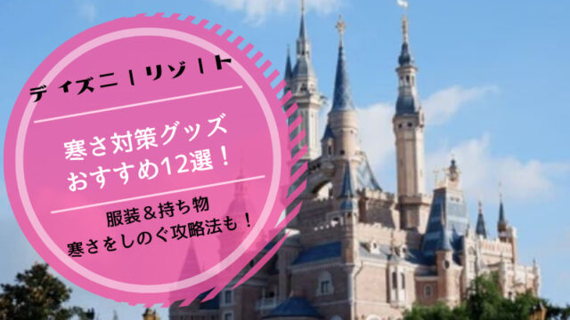 ディズニー寒さ対策グッズ